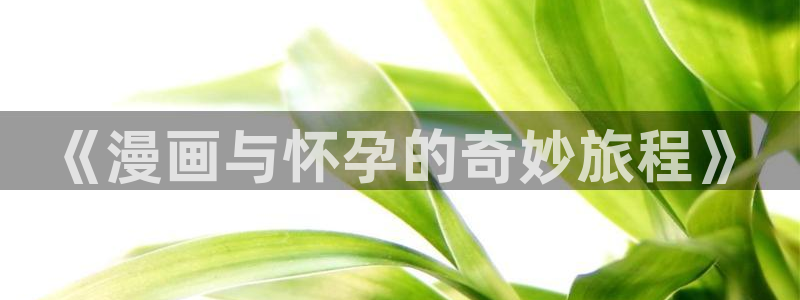 51漫画动漫下载