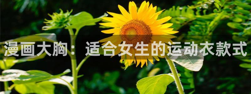 51漫画画网址推荐