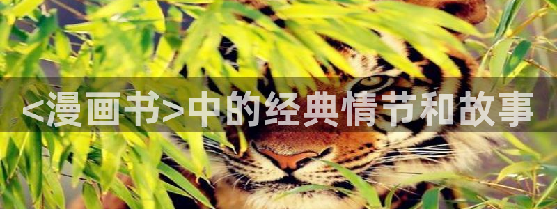 歪歪51漫画网址