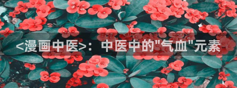 51漫画无付费漫画永久免费入口