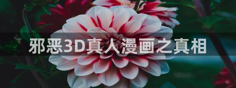 51漫画画推荐：邪恶3D真人漫画之真相