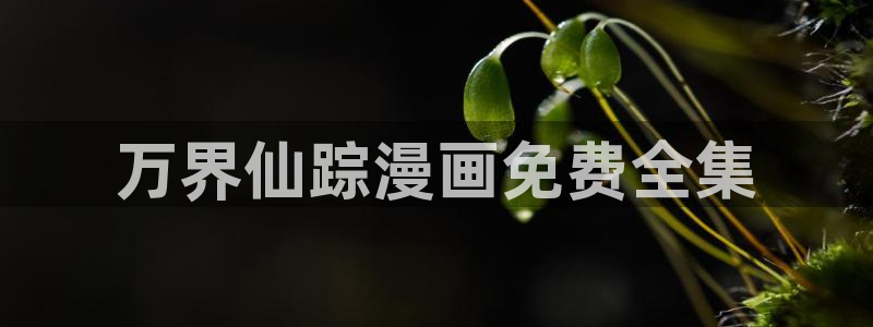 漫画网站51漫画