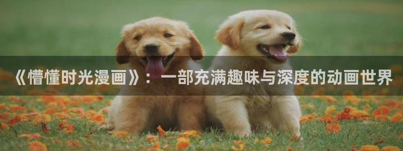 什么网站可以看51漫画免费啊