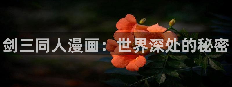 51漫画画翻译软件