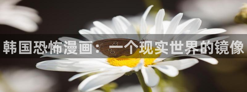 51漫画《素描》漫画全集